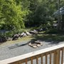 Creekside Cabins