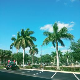Views from the drive-thru.