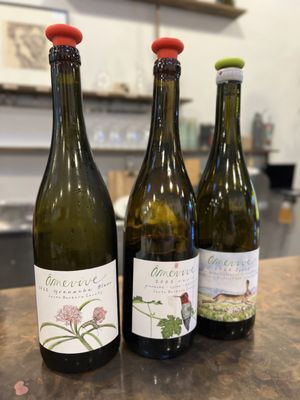 Bay Grape by null