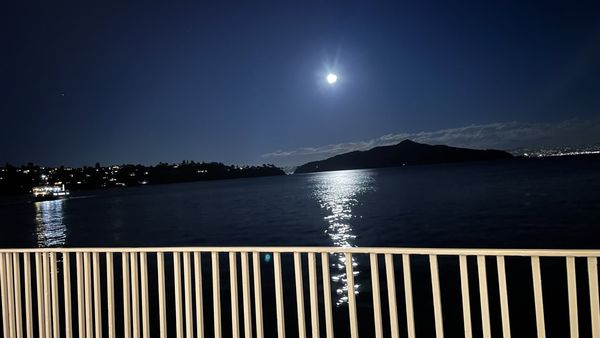 Scoma's of Sausalito by null