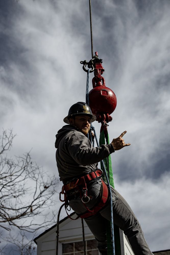 Terra Tree Works - tree service in Greenville, SC