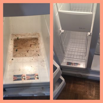 Clean-Out Crew - We get it done no matter the mess. - Junk Removal & Hauling Near Me Clean-Out Crew - We get it done no matter the mess. - Junk Removal & Hauling Near Me