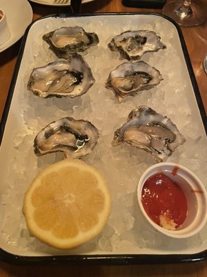 The Lonely Oyster by null