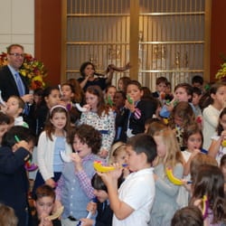 Chicago Sinai Congregration