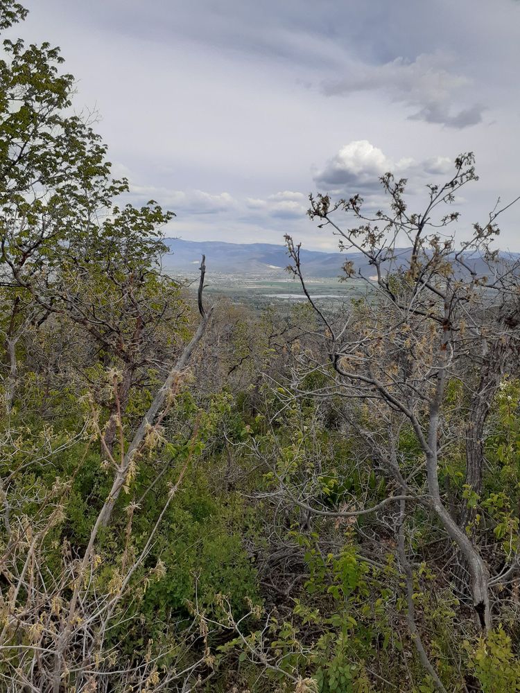 Wasatch Mountain State Park