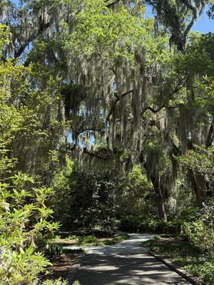 Airlie Gardens by null