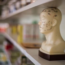 Wang Medical, Inc - Wang Medical, Inc. Dr. Wang uses traditional Chinese acupuncture for pain relief treatments.
