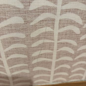 Spoonflower - Fabric Stores Near Me - Durham, North Carolina