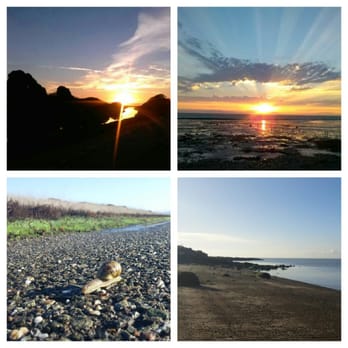 Hayward Shoreline Interpretive Center - Sunsets and life at the shoreline. - Beaches Near Me - Hayward, California Hayward Shoreline Interpretive Center - Sunsets and life at the shoreline. - Beaches Near Me - Hayward, California