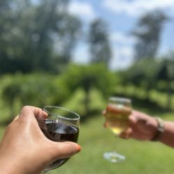 The Georgia Winery