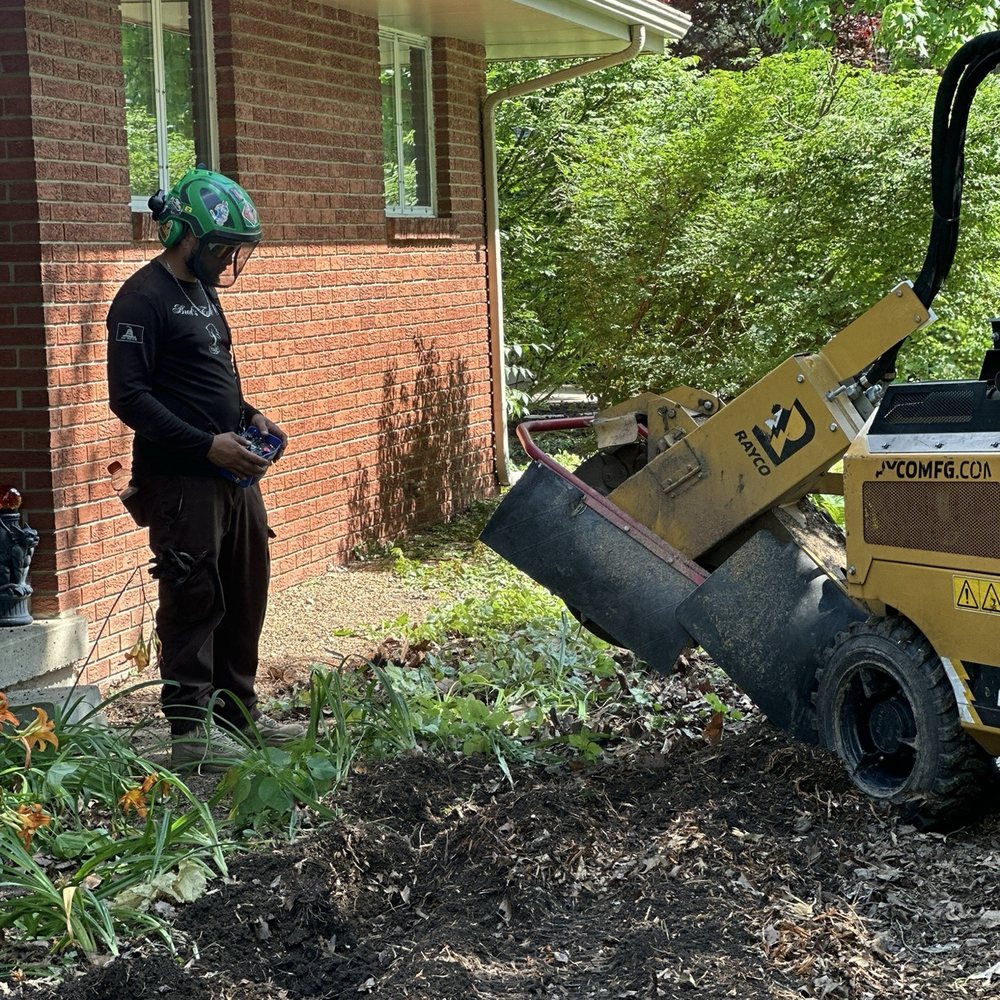 Bud's Tree Care - Buds Tree Care ISA certified arborist Champaign, Illinois - Tree Services Near Me - Champaign, Illinois