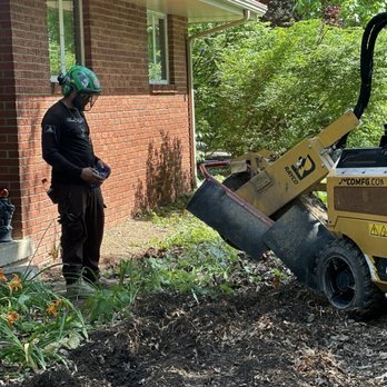 Bud's Tree Care - Buds Tree Care ISA certified arborist Champaign, Illinois - Tree Services Near Me - Champaign, Illinois