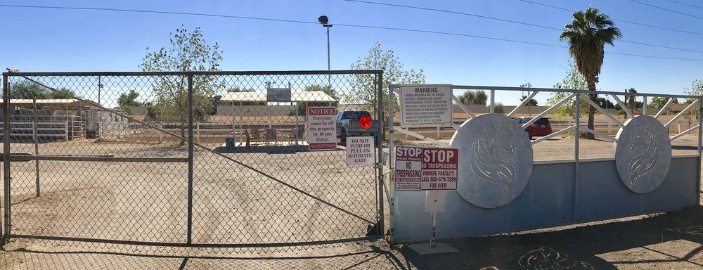Wild Heart Horsemanship - equestrian in Mesa, AZ