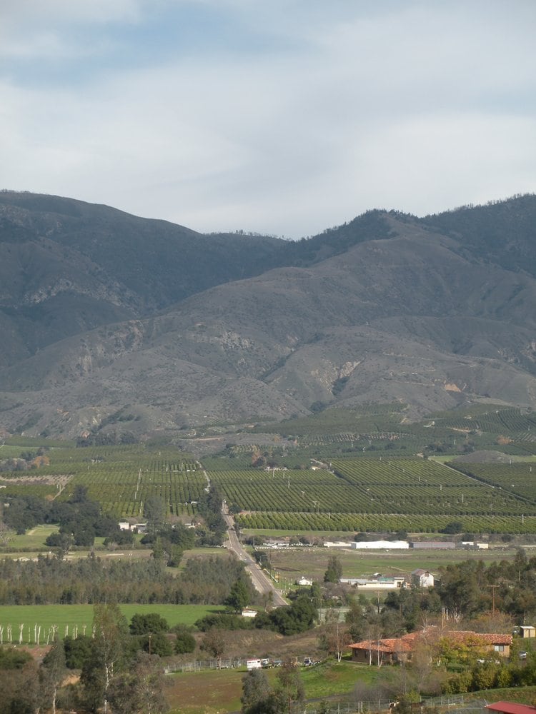 TIERRA MIGUEL FARM AND FOUNDATION Updated June 2024 4910 Pauma