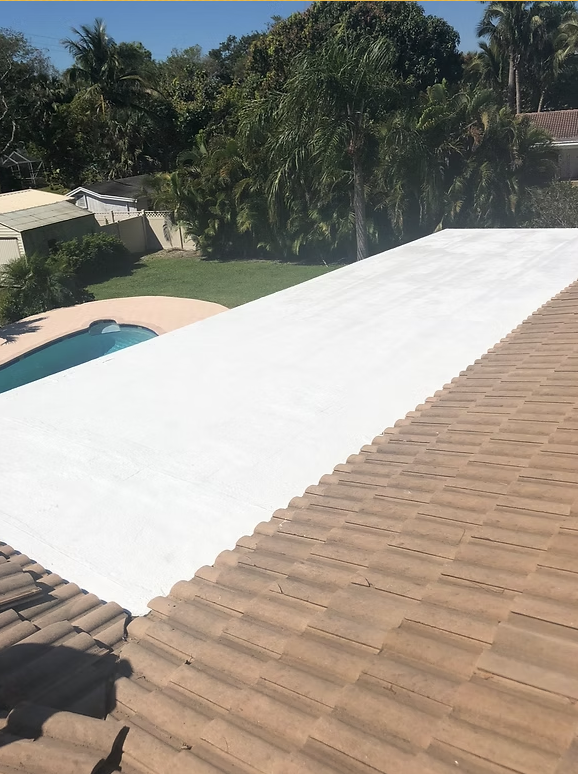 Slide of Dan The Shingle Man Roofing