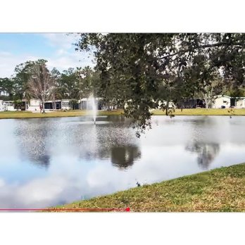 Holiday Travel Park - RV Parks Near Me - Bunnell, Florida Holiday Travel Park - RV Parks Near Me - Bunnell, Florida