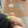 Fashion Nail Salon