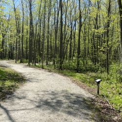 I would assume in the summertime all the trails will be shaded should make for lovely walking.