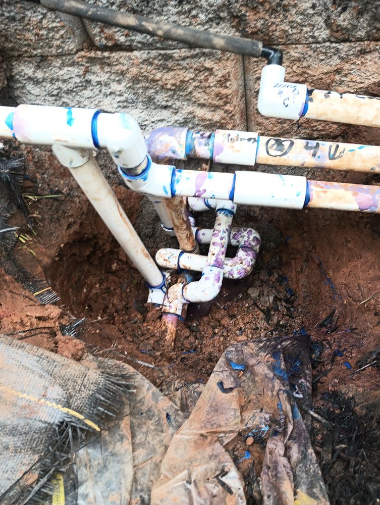 Slide of Rain Forrest irrigation