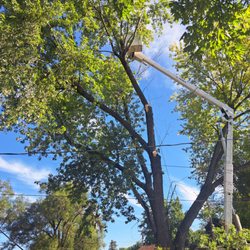 ATR Tree Service