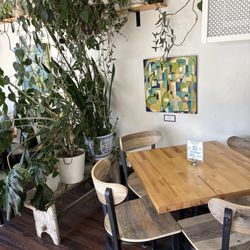 The Mercury Cafe And Teahouse
