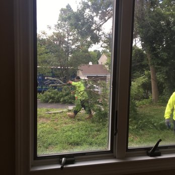 Clearview Tree and Land Corp - Tree Services Near Me