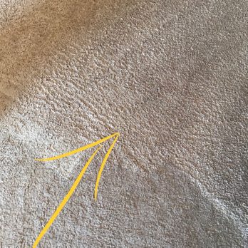 Expert Carpet Care - pointing to the clean carpet  cleaning in process  what a difference - Carpet Cleaning Near Me - Bellflower, California