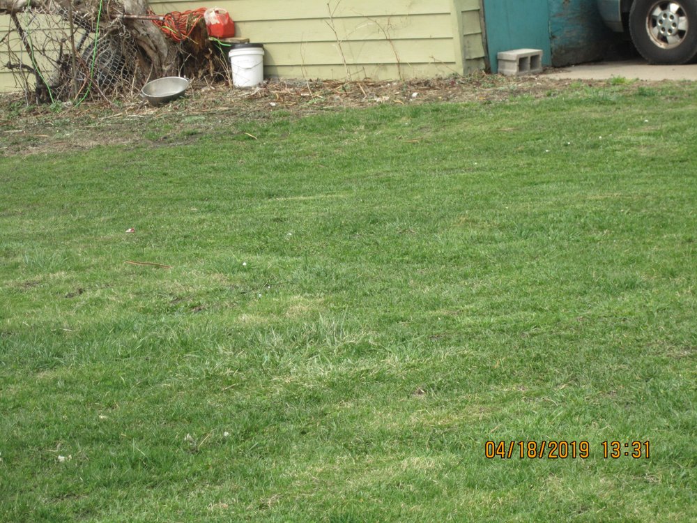 James Skinner Landscaping - tree service in Buffalo, NY