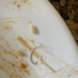 On Rice Thai Cuisine & Spirit - Staple inside my food