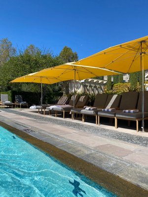 Rosewood Sand Hill by null