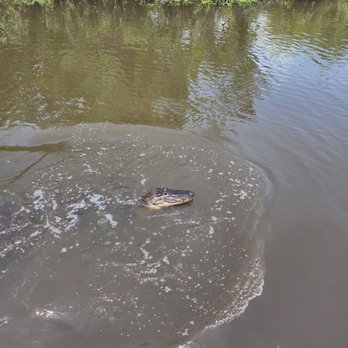 Airboat Adventures - Boat Tours Near Me - Lafitte, Louisiana