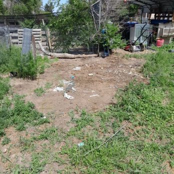 SpeedyClean Junk - No more junk! - Junk Removal & Hauling Near Me