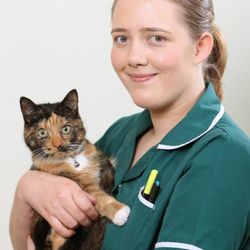 Chantry Vets Outwood Surgery
