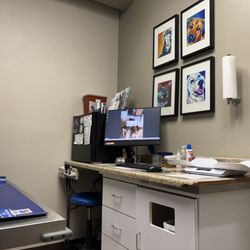 Park Hills Animal Hospital - Exam room