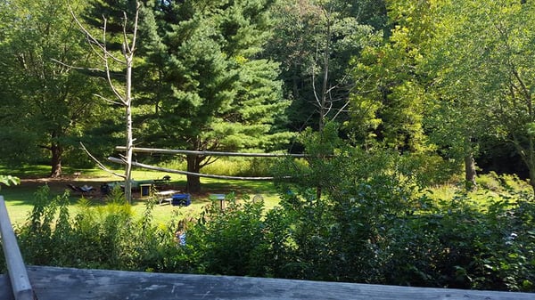 Eden Mill Nature Center by null