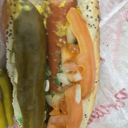 Hot Dogs