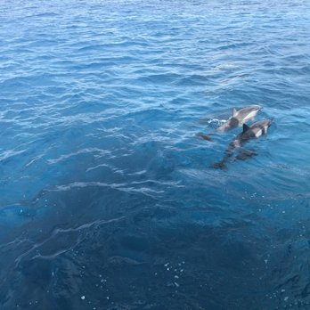 Ocean Joy Cruises - Tours Near Me - Kapolei, Hawaii Ocean Joy Cruises - Tours Near Me - Kapolei, Hawaii
