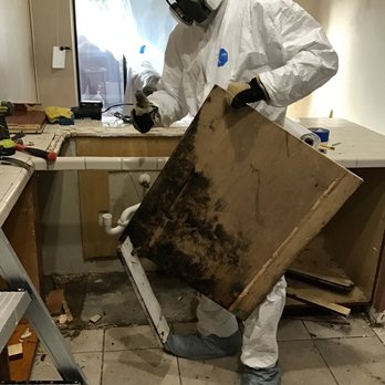 Safe Quality Restoration - Mold Remediation - Damage Restoration Near Me Safe Quality Restoration - Mold Remediation - Damage Restoration Near Me