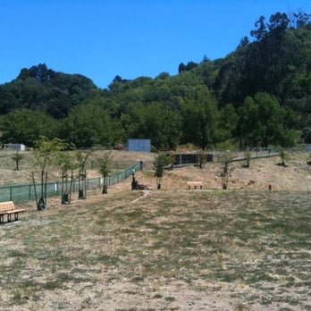 Red Hill Dog Park - Dog Parks Near Me - San Anselmo, California