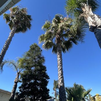 Agustin Francisco - Landscaping Near Me Agustin Francisco - Landscaping Near Me