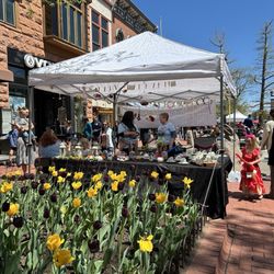 Downtown Boulder BID - Tulips and more booths