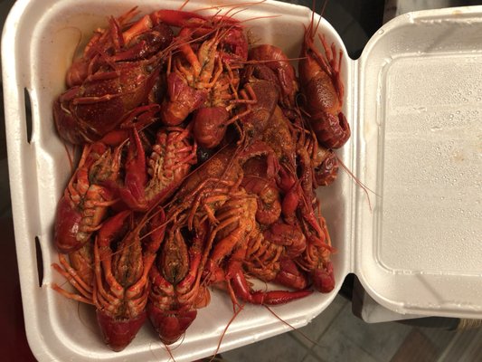 Quality Fresh Seafood by null