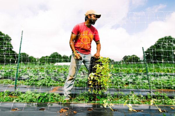 Decatur Farmers Market by null
