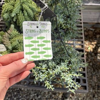 Curby's Nursery - Nurseries & Gardening Near Me - Temecula, California