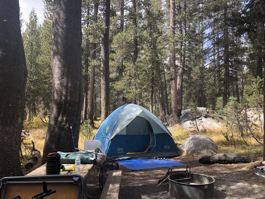 Tioga Rd by null