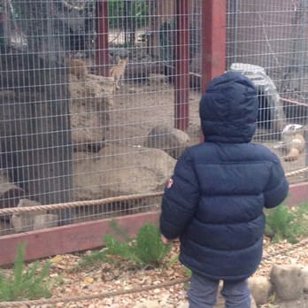 Wildlife Learning Center - Zoos Near Me - Sylmar, California Wildlife Learning Center - Zoos Near Me - Sylmar, California