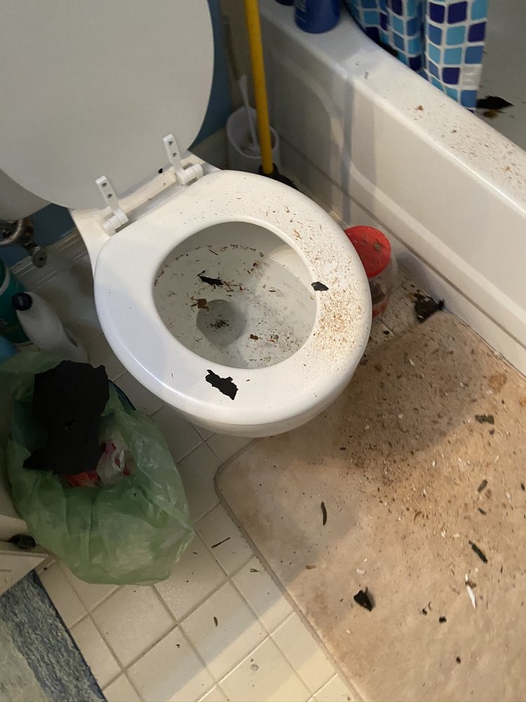 Slide of Coastal Roofing Professionals