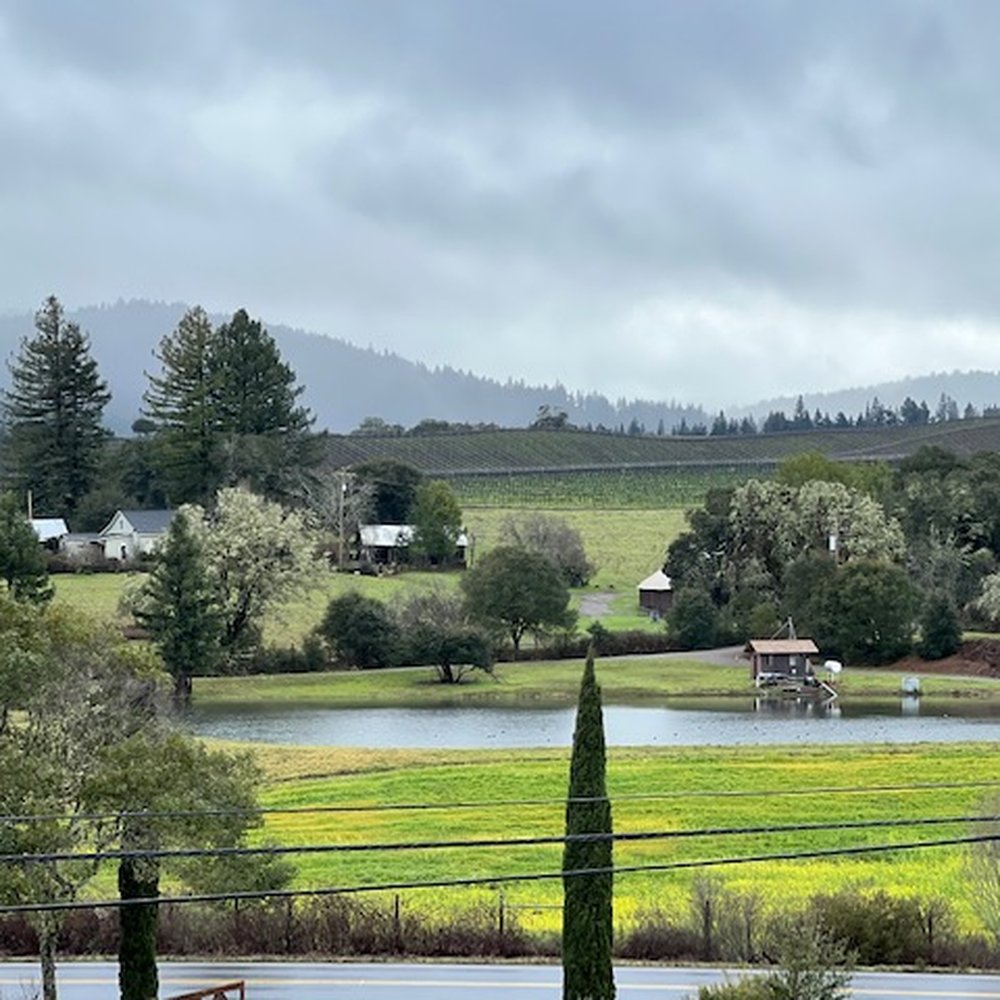 View from tasting room View from tasting room