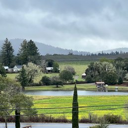 View from tasting room