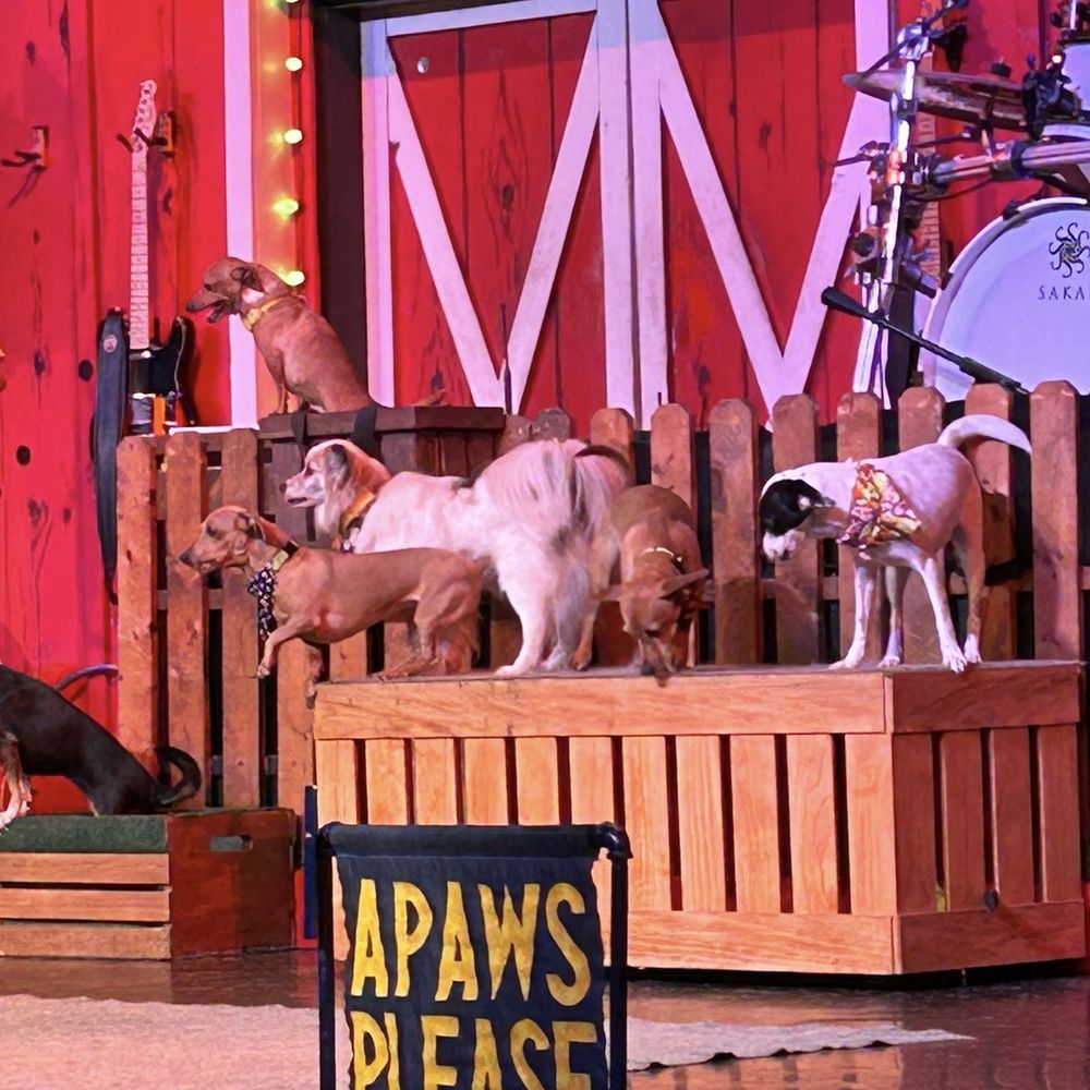 The Comedy Barn Theater - Performing Arts Near Me - Pigeon Forge, Tennessee